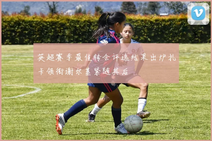 英超赛季最佳转会评选结果出炉扎卡领衔谢尔基紧随其后